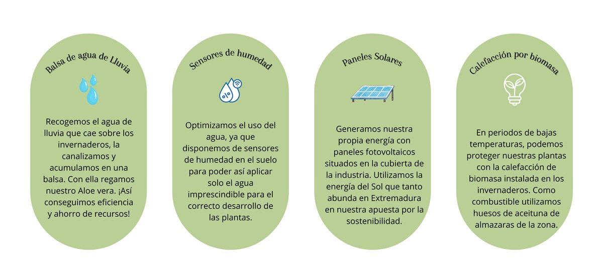 impacto-positivo impacto-positivo