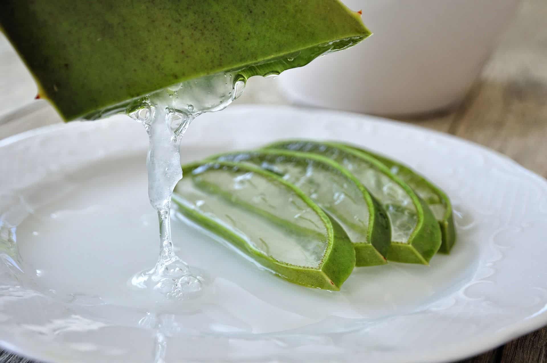 Aloe vera y diabetes 5 aloe 4529704 1920