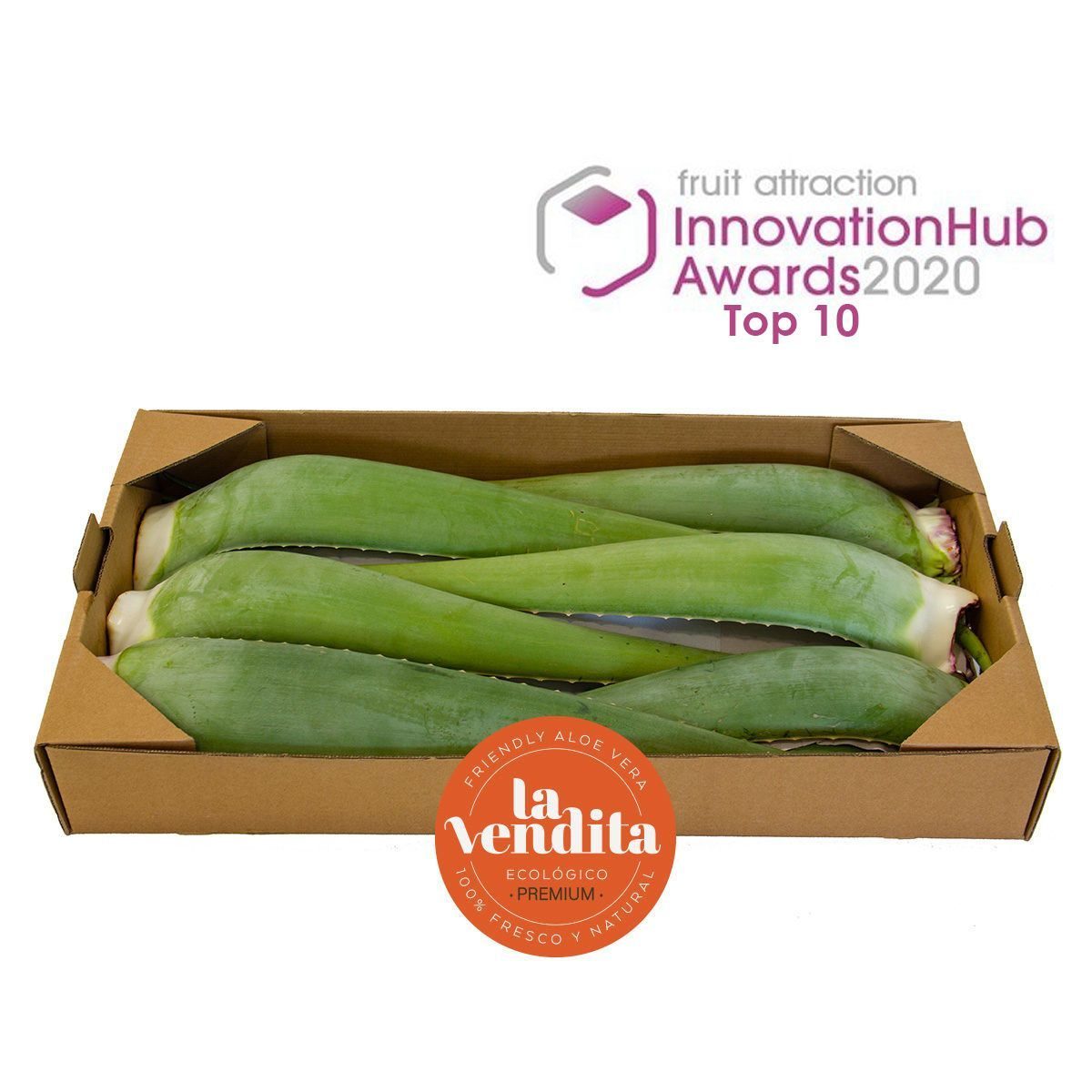 10kg Hojas de Aloe Vera ecológicas frescas – gel natural puro para tu piel y salud 21 caja 10 hojas premium rojo 1200x1200 top ten