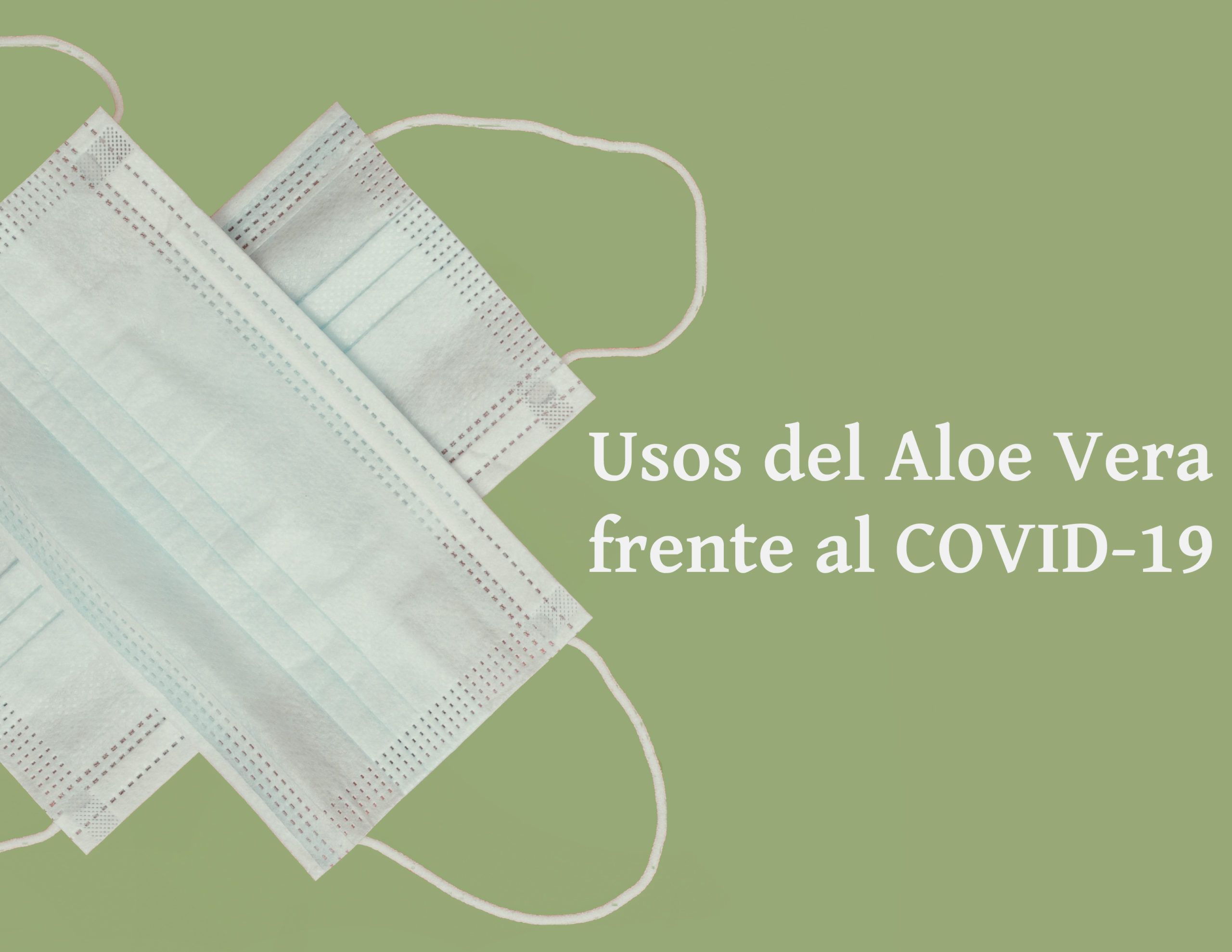 Aloe vera frente al Covid-19