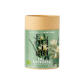 Infusión con flor de aloe vera para mantener tu cuerpo en equilibrio todo el día