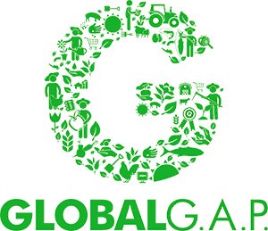 Global-Gap Global Gap