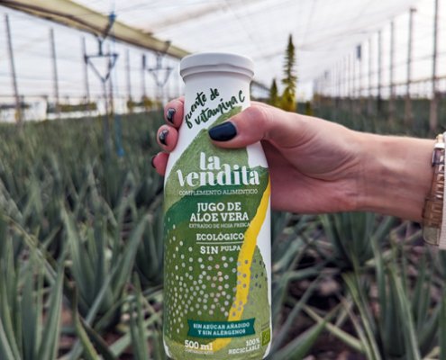 Descubre qué hace que un jugo de aloe vera sea realmente puro y efectivo 4 Jugo aloe vera