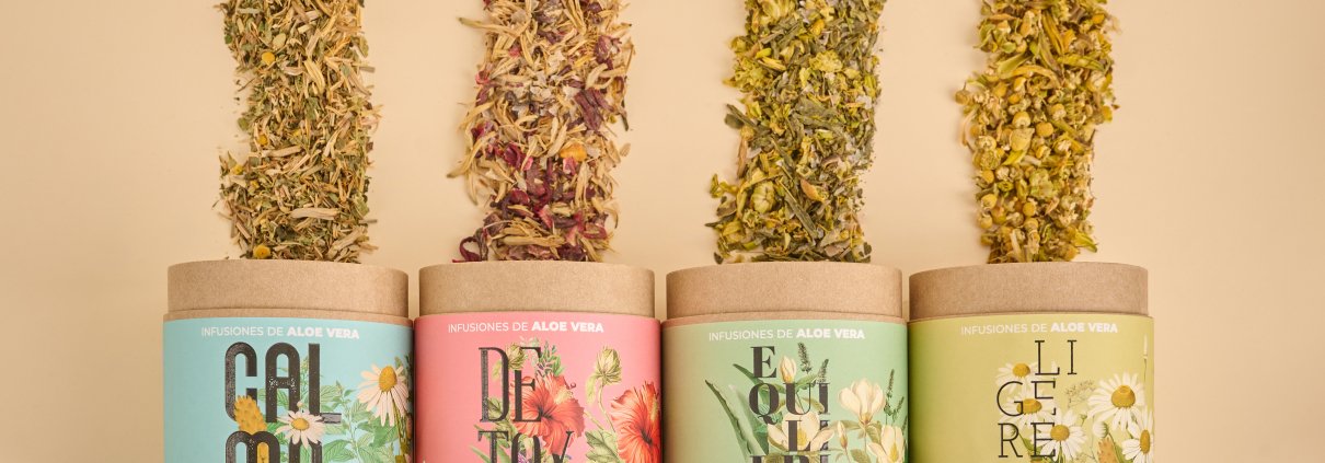 ¿Conocías las infusiones con flor de Aloe vera? 1 Z622649 1