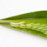 Descubre los 7 beneficios increíbles del Aloe vera 2 beneficios increibles del aloe vera
