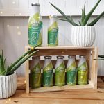 Nuevos envases para la conservación del gel de Aloe vera puro 2 envases para conservar el gel de aloe vera