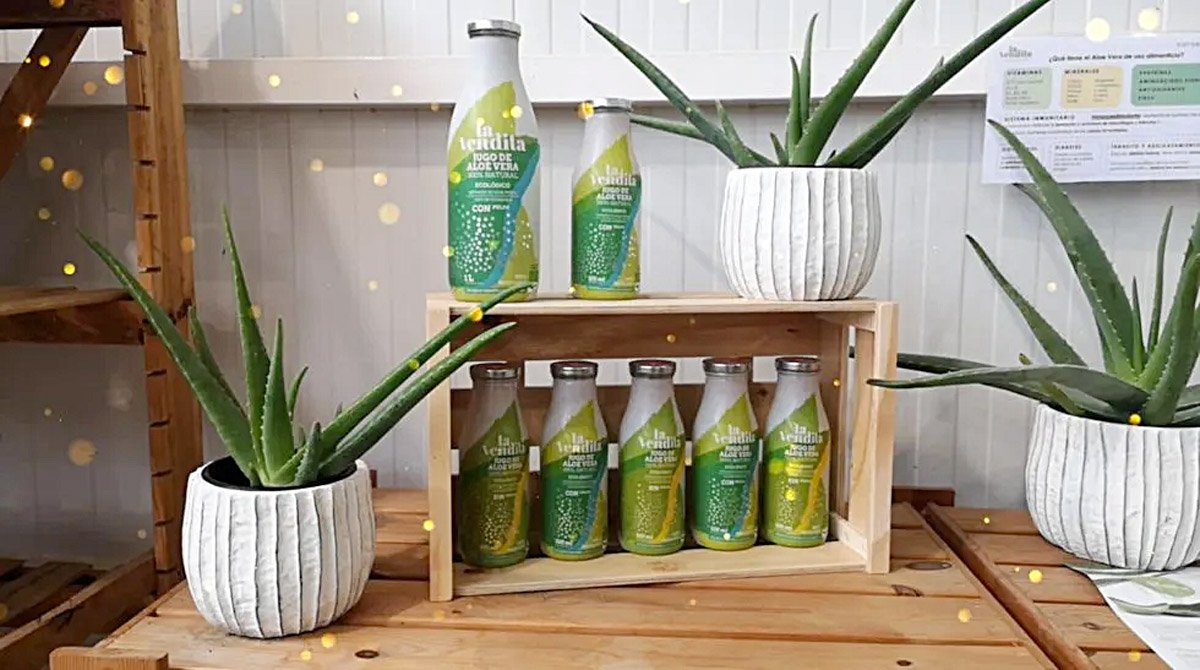Nuevos envases para la conservación del gel de Aloe vera puro 3 envases para conservar el gel de aloe vera