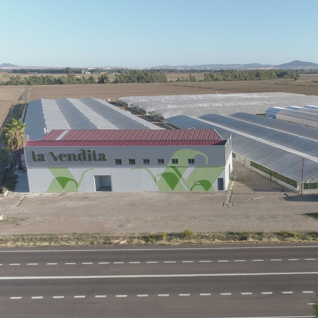 Nuevo módulo de Producción 4 La Vendita