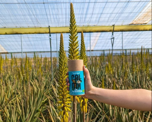 La Vendita, Seleccionada por la Unión Europea para Proyecto de Economía Circular con Aloe Vera 8 photo1709636797 3 e1731394134955