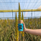 La Vendita, Seleccionada por la Unión Europea para Proyecto de Economía Circular con Aloe Vera 3 photo1709636797 3 e1731394134955