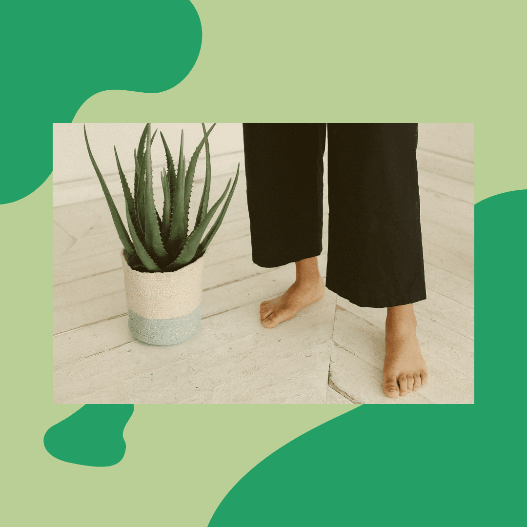 ¿Qué tipo de consumidor de Aloe Vera eres? 6 ¿que tipo de consumidor de aloe vera eres 01